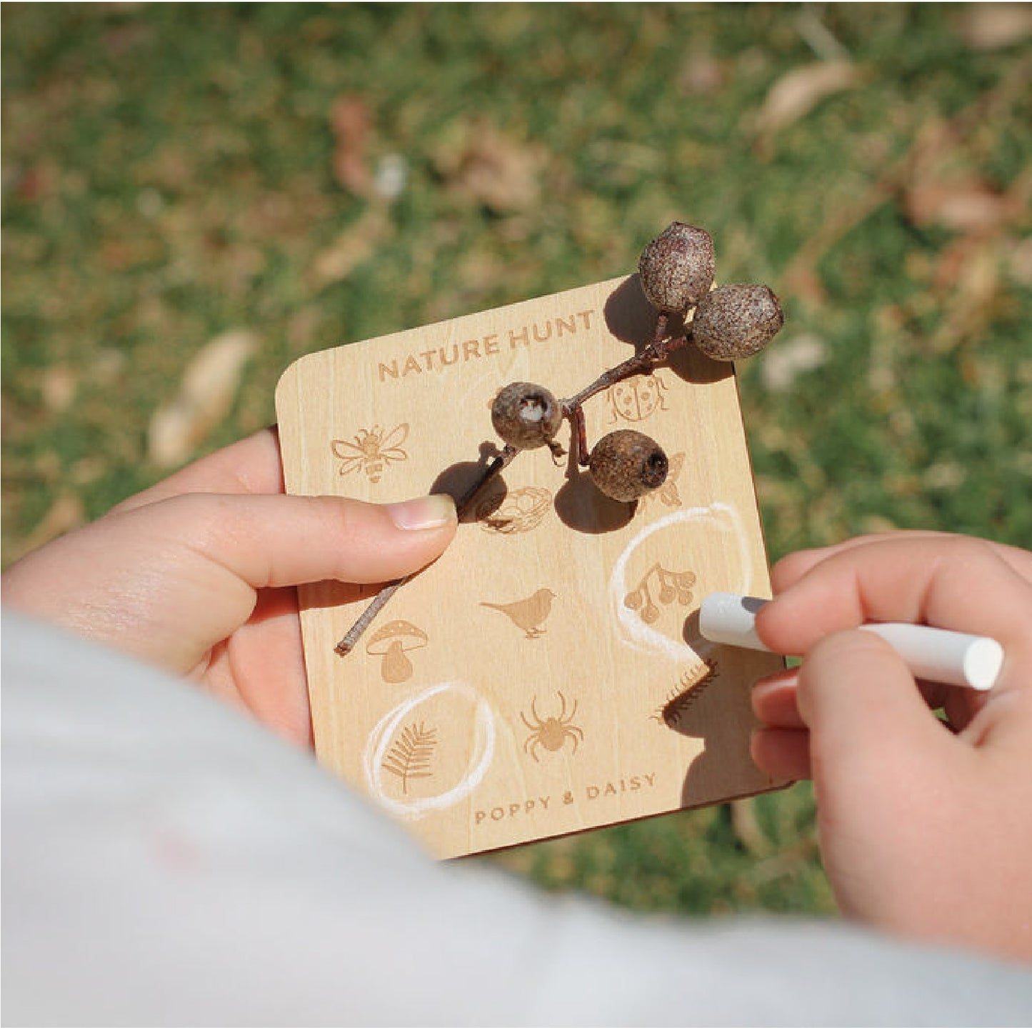 Nature Hunt