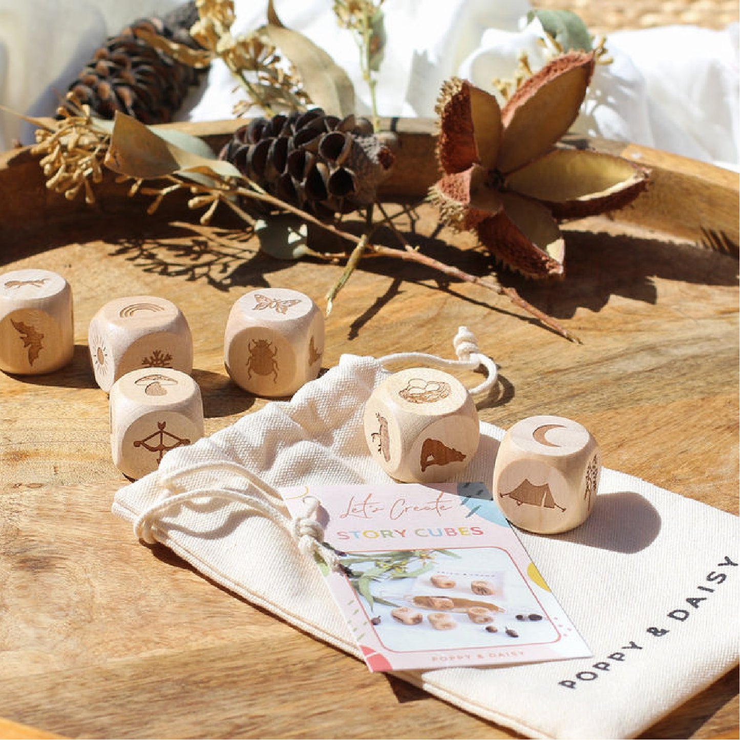 Nature Story Cubes