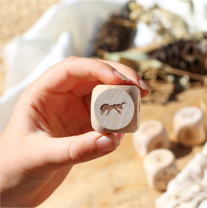 Nature Story Cubes
