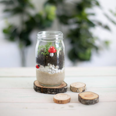 jar made up with fairy garden planted with toadstool and lady bird